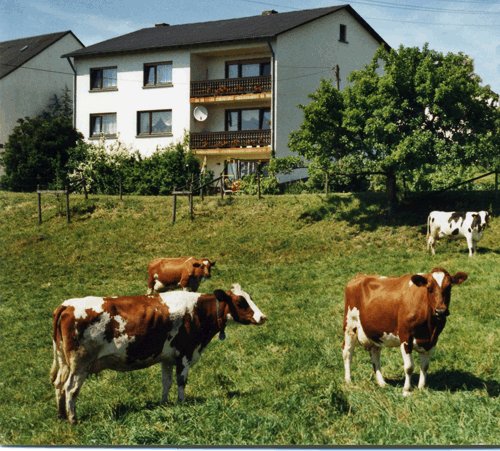 Der Schmiedshof in Lauperath